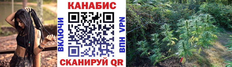 Бошки Шишки VHQ Пущино